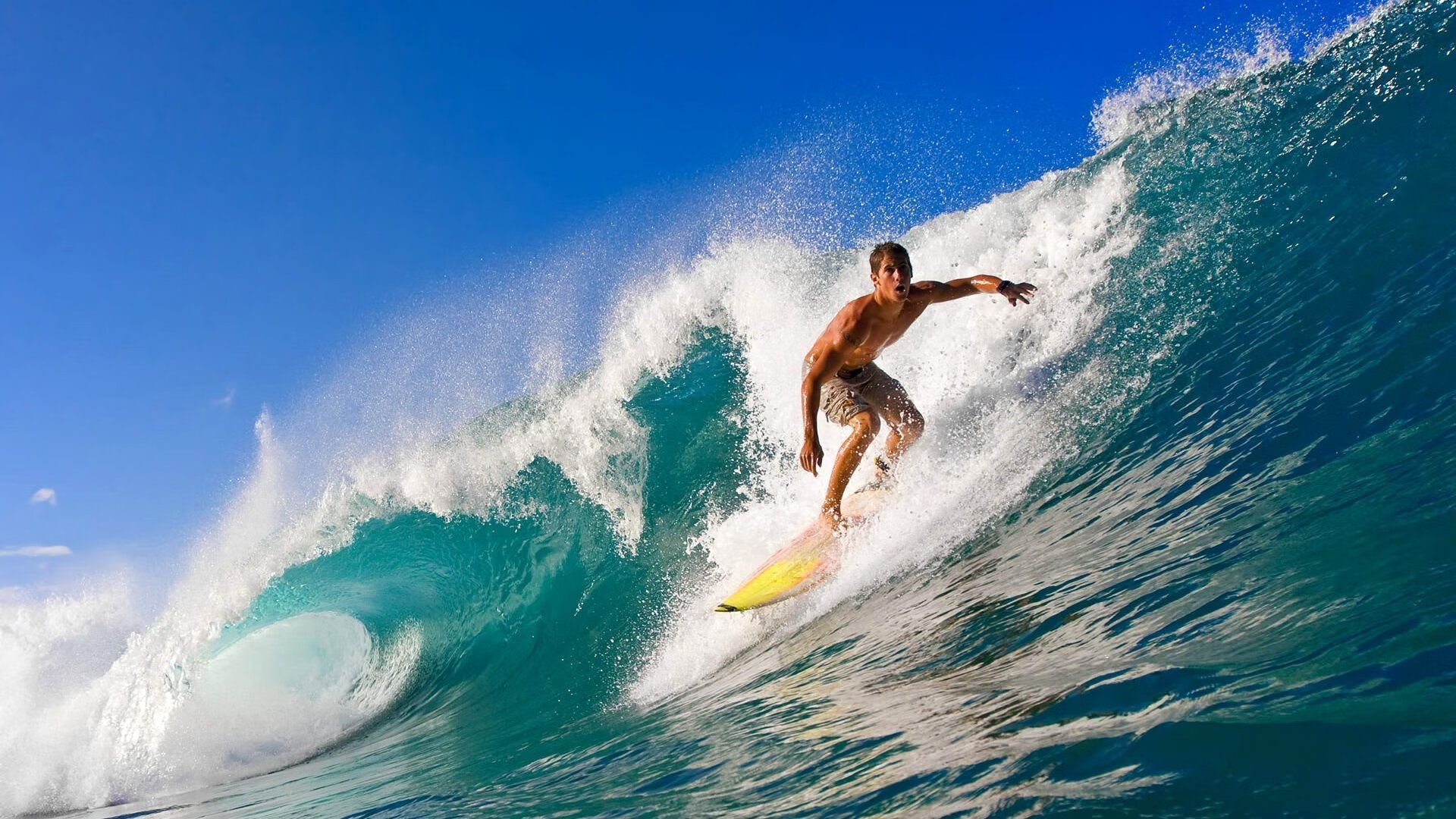 羽落凡尘，当东方统治在巴黎的镁光灯下结晶